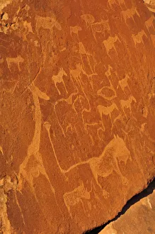 Rock Art Gallery: Africa, Namibia, Damaraland, Twyfelfontein, UNESCO World Heritage Site, Rock Art