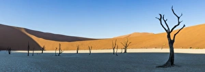 Africa, Namibia, Deadvlei, Namib desert, dead acacia trees