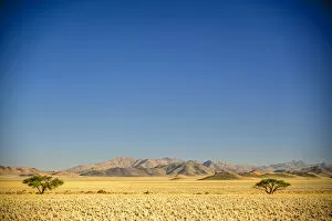 Acacia Gallery: Africa, Namibia. a dry landscape near the Tiras Mountains