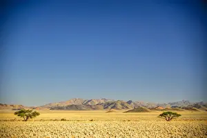 Retreat Prints: Africa, Namibia. a dry landscape near the Tiras Mountains