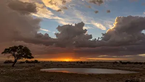 Images Dated 25th January 2017: Africa, Namibia, Ethosha National Park. The waterhole of Okaukuejo at Sunset with