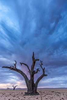 Images Dated 2nd December 2016: Africa, Namibia, Hardap region. A romantic sunset