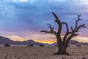 Africa, Namibia, Hardap region. A romantic sunset