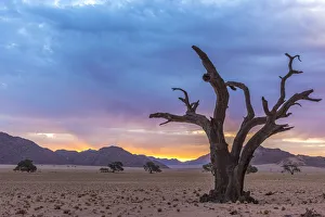 Images Dated 25th January 2017: Africa, Namibia, Hardap region. A romantic sunset