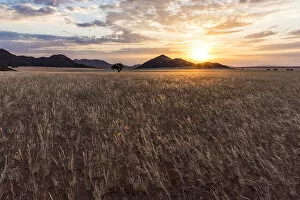 Images Dated 16th August 2018: Africa, Namibia, Namib Rand area. Farm Kanaan. Landscape of the Tiras mountains at sunset