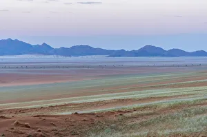 Images Dated 16th August 2018: Africa, Namibia, Namib Rand area. Farm Kanaan