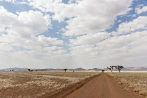 Images Dated 17th July 2018: Africa, Namibia, Namib Rand area. Road in the desert