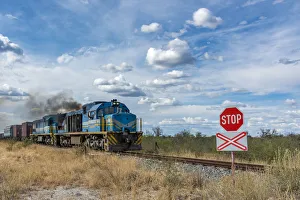 Africa, Namibia, Otjiwarongo. Train