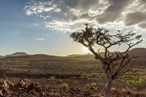 Damaraland Gallery: Africa, Namibia, Palmwag. The Aub Canyon at sunset