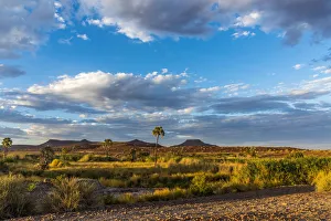Images Dated 25th January 2017: Africa, Namibia, Palmwag. Sunrise at Palmwag