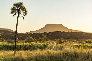 Damaraland Gallery: Africa, Namibia, Palmwag. Sunset