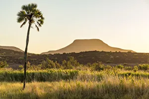 Images Dated 25th January 2017: Africa, Namibia, Palmwag. Sunset