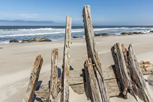 Images Dated 25th January 2017: Africa, Namibia, Skeleton coast. A shipwreck