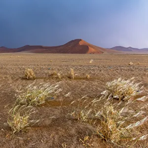 Africa, Namibia, Sossusvlei area. Thunderstorm in the desert
