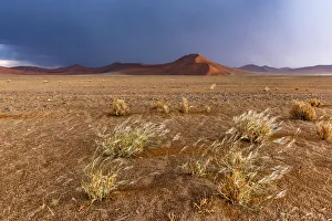 Images Dated 16th August 2018: Africa, Namibia, Sossusvlei area. Thunderstorm in the desert