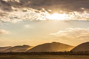 Namib Naukluft Gallery: Africa, Namibia, Sossusvlei area. After the rain in the desert