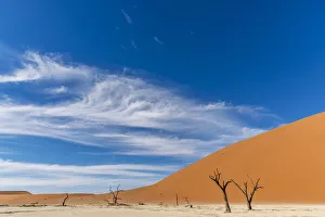 Africa, Namibia, Sossusvlei. Deadvlei