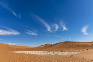 Acacia Gallery: Africa, Namibia, Sossusvlei. Deadvlei