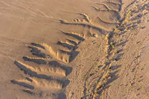 Rising Prints: Africa, Namibia, Sossusvlei. Riverbed seen from the balloon in the Namib desert
