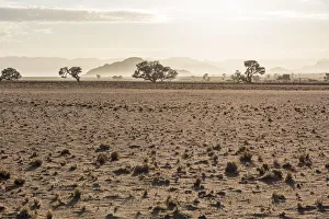 Africa, Namibia, Sossusvlei. Sunrise near to Sesriem