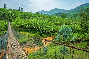 Walk Prints: africa, Rwanda, Kivu Lake. The Congo Nile Trail - Walking on a hanging bridge on the Congo Nile trail