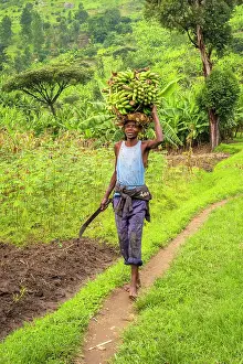 Harvest Prints: africa, Rwanda, Kivu Lake. Meeting a farmer with bananas on the Congo Nile Trail