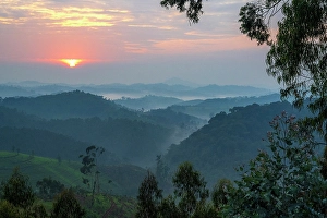 Rainforest Prints: Africa, Rwanda, Nyungwe National Park. Sunrise above the rolling hills