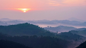 Rainforest Prints: Africa, Rwanda, Nyungwe National Park. Sunrise above the rolling hills