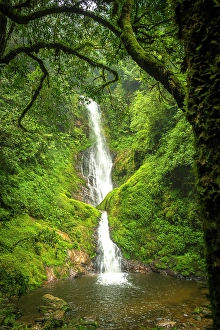 Premium Selects 2024 Prints: africa, Rwanda, Nyungwe National Park. The waterfall