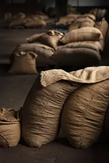 Factory Prints: Africa, SA£o Toma and Principe. Bags with dried cocoa beans