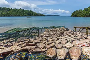 Equatorial Prints: Africa, SA£o Toma and Principe. Drying fish in a fishing village on Principe Island