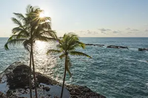 Africa, SA£o Toma and Principe. Seascape with palm trees near to Praia Jala on Sao