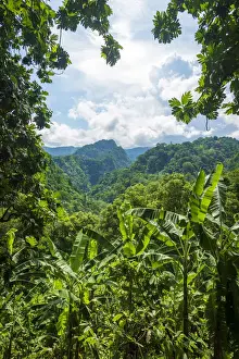 Equatorial Prints: Africa, SA£o Toma and Principe. Typical landscape of Sao Toma Island