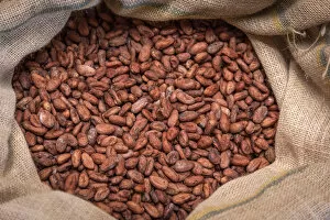 Africa, Sao Tome and Principe. Dried cocoa beans for the chocolate factory