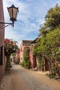 Goree Prints: Africa, Senegal, Dakar. A street on the island Goree