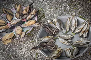 Senegal Prints: Africa, Senegal, Joal Fadiouth. Dried fish and seafood