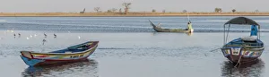 Africa, Senegal, Sine-Saloum-Delta. Fisherman in the delta
