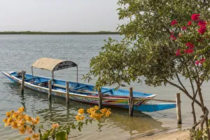 Senegal Prints: Africa, Senegal, Sine-Saloum-Delta. Near to Mar Lodj