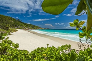 Images Dated 7th January 2022: Africa, Seychelles, La Digue. The beautiful beach of Petite Anse