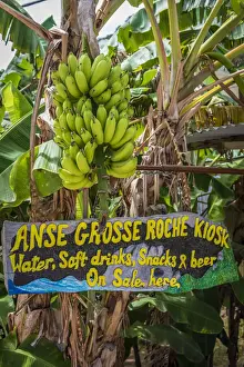 Shop Prints: Africa, Seychelles, La Digue. Handpainted sign for a bar and shop