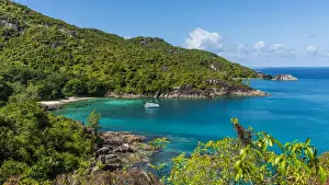 Plants Prints: Africa, Seychelles, Mahe. Anse Major seen from Anse Major Trail