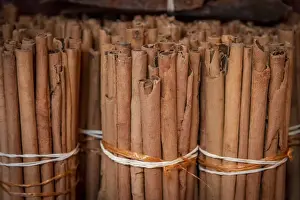 Cinnamon Prints: Africa, Seychelles, Mahe. Cinnamon sticks sold in the Sir Selwyn Selwin Clarke Market in Victoria