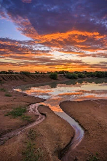 Bush Gallery: Africa, South Africa, African, Limpopo province, water hole at sunset