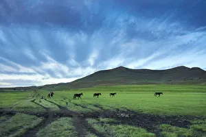 Images Dated 25th June 2019: Africa, Southern Africa, Maseru District, Lesotho, Semonkong, man on horseback