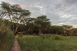 Acacia Prints: Africa, Tanzania, Lake Eyasi. Sunset at the Kisima Ngeda Lodge