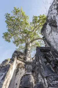 Songo Mnara Prints: Africa, Tanzania, Lindi region. The ruins of Songo Mnara