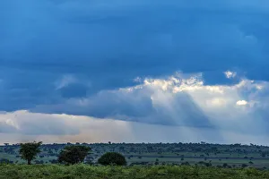 Maasai Prints: Africa, Tanzania, Loiborsoit. The landscape before the rain