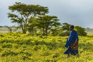 Africa, Tanzania, Loiborsoit. A Maasai man walking in the landscape with traditional