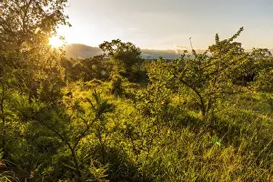 Rainy Prints: Africa, Tanzania, Loiborsoit. sunset in the Msailand landscape during green season