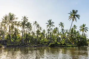 Africa, Tanzania, Tanga, Pangani. A boat excursion on the Pangani river passing through
